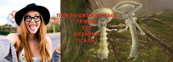 ГАЛЛЮЦИНОГЕННЫЕ ГРИБЫ Алзамай