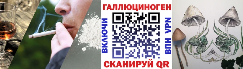 купить закладку  Ижевск  гидра онион  Галлюциногенные грибы Psilocybine cubensis 